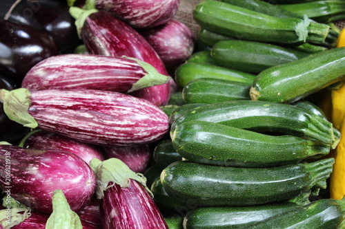 Rows of courgettes
