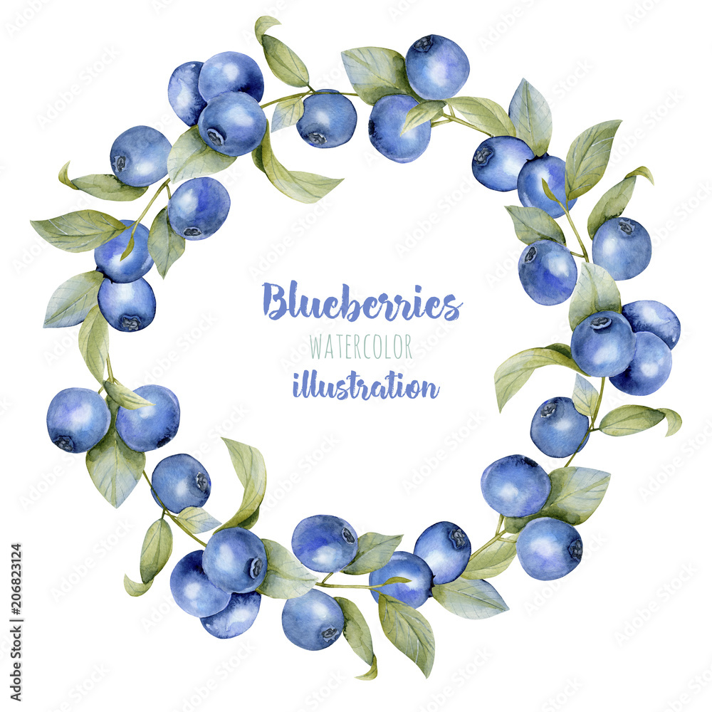 Watercolor blueberry branches wreath, frame border, hand painted on a white  background Stock Illustration | Adobe Stock