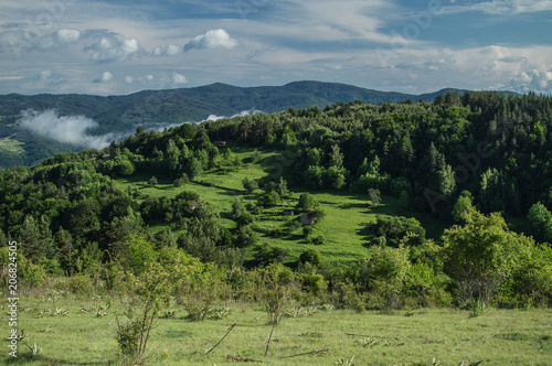 Green paradise