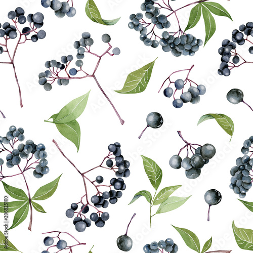 Watercolor elderberries seamless pattern, hand painted on a white background