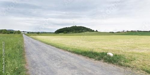 Grüner Heiner photo