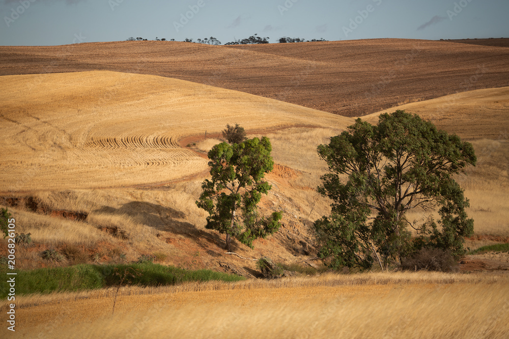 Obraz premium View over dry farm paddocks