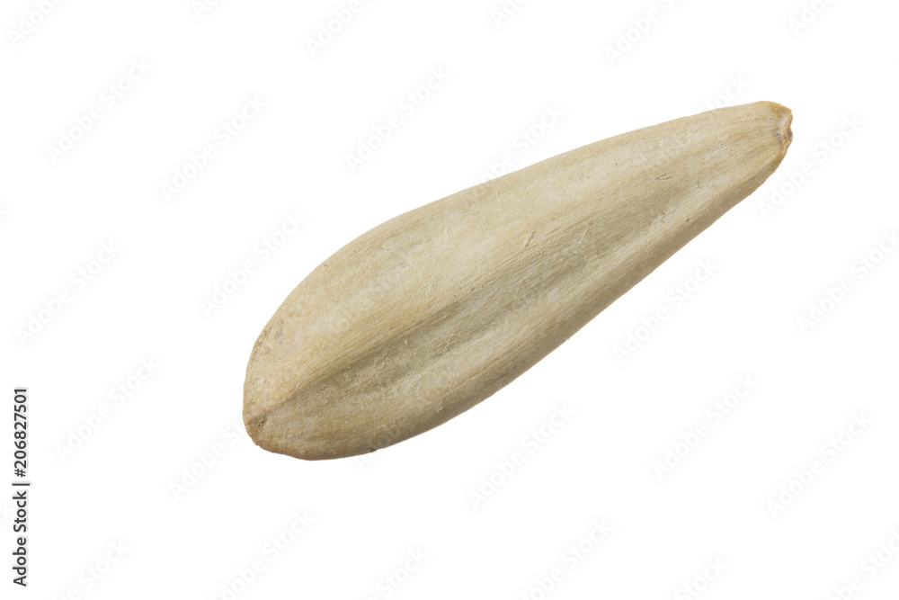 white seed of sunflower isolated on white background white seed of sunflower isolated on white background