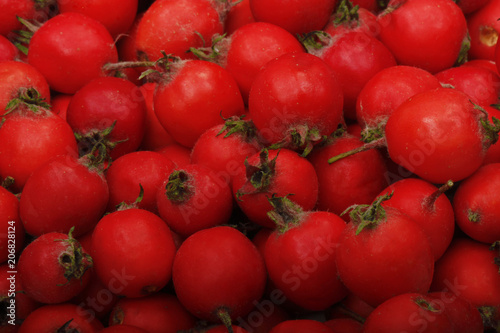 fresh red haw berries background