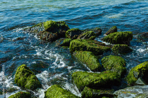 blue water and moss rocks © Dashskala