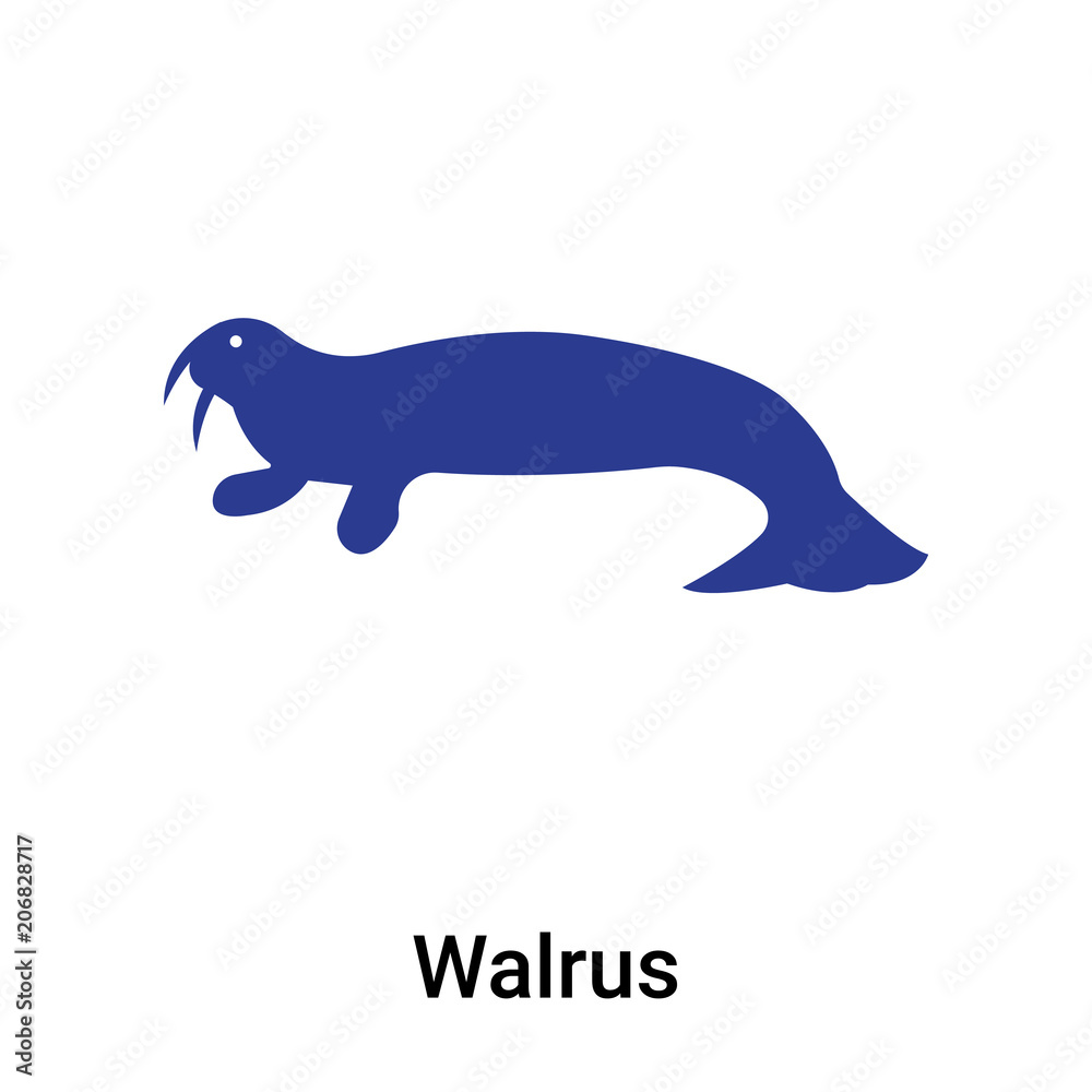 Walrus icon vector sign and symbol isolated on white background