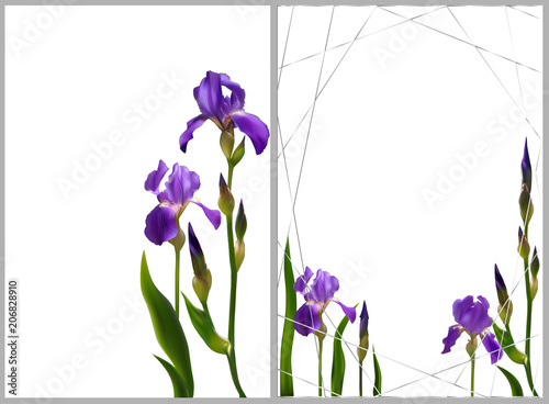 Iris. Flowers. Floral background. Border. Buds. Blue. Petals. Flower pattern. Template. Green leaves. The stems. Card. Frame. Invitation.