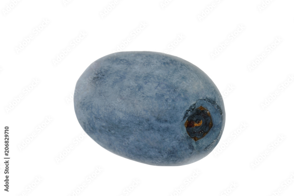 Fototapeta premium blueberry isolated on white background