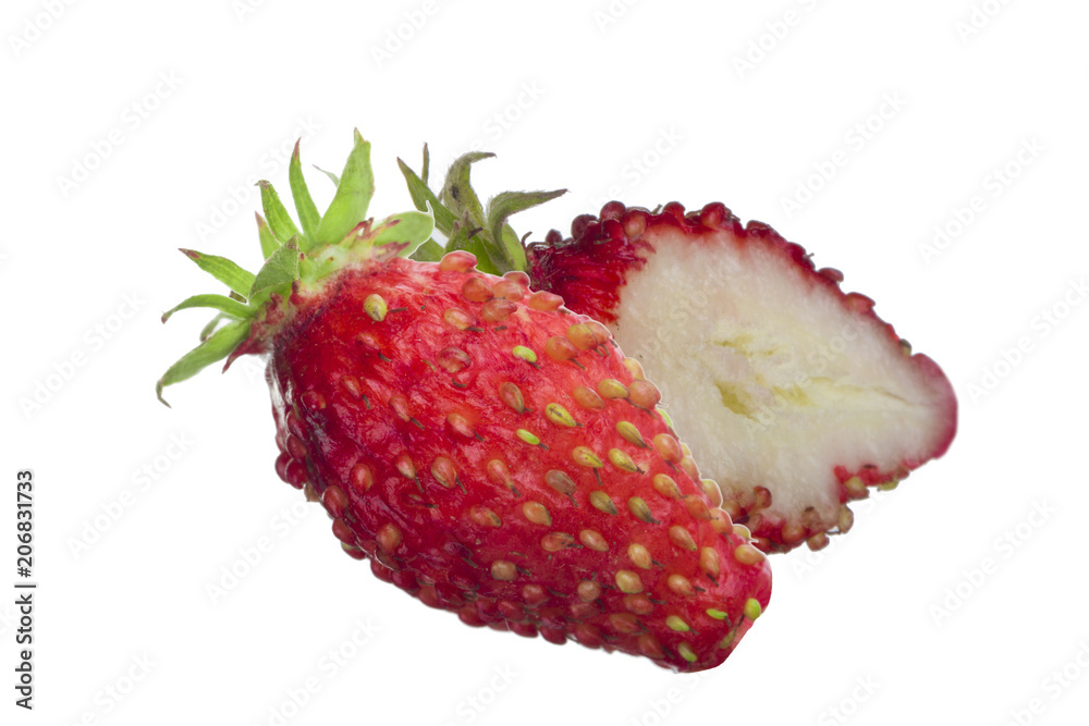 two wild strawberry isolated on white background two wild strawberry isolated on white background
