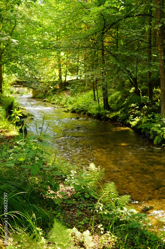 Flusslauf in der sächsischen Schweiz