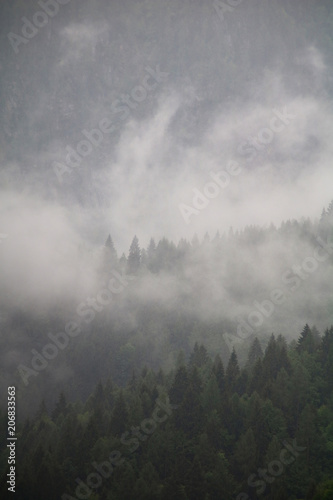 foggy clouds rising from dark alpine mountain forest © Björn