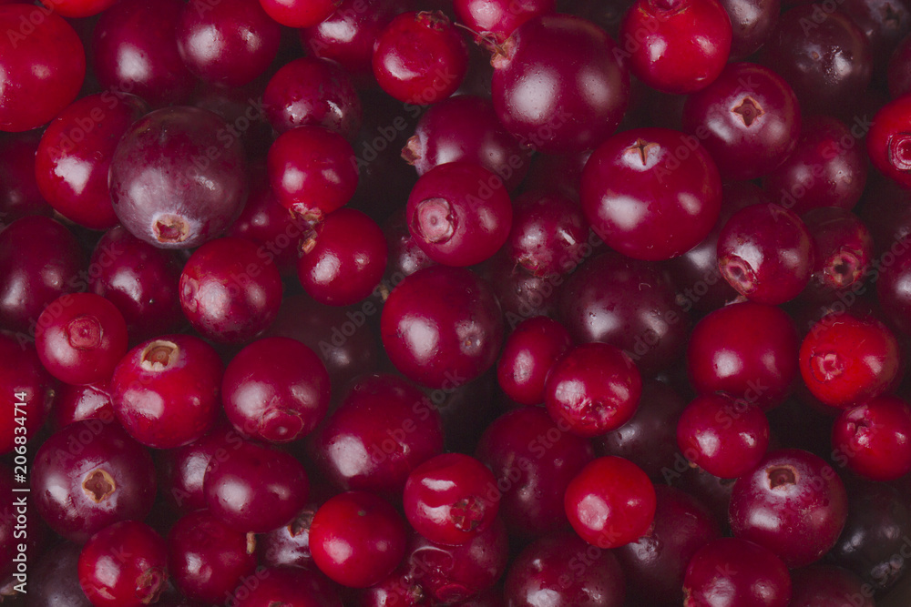 fresh red cranberries background fresh red cranberries background