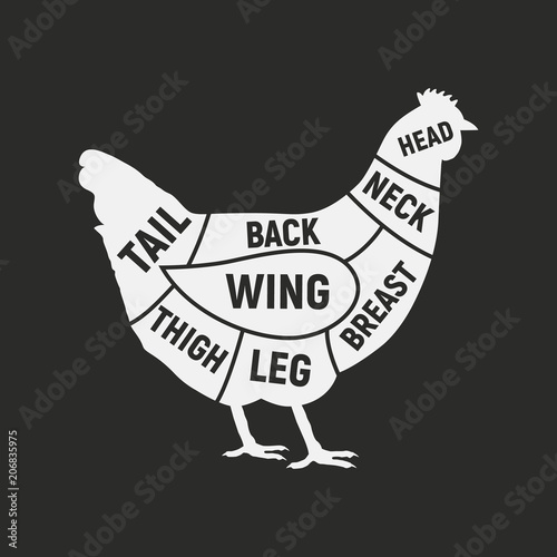 Chicken cuts. Meat cuts. Vintage Poster for butcher shop. Retro diagram. Vector illustration