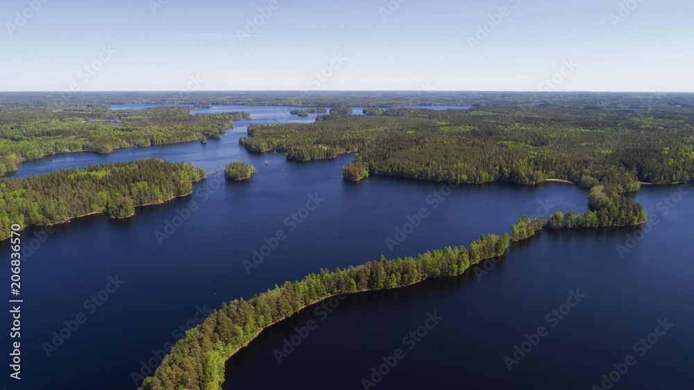 Aerial view of blue lakes and green forest in Finnish national park Liesjarvi at summer