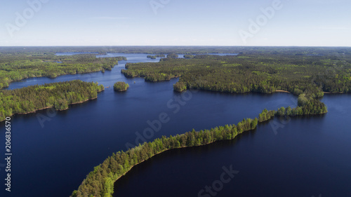 Aerial view of blue lakes and green forest in Finnish national park Liesjarvi at summer