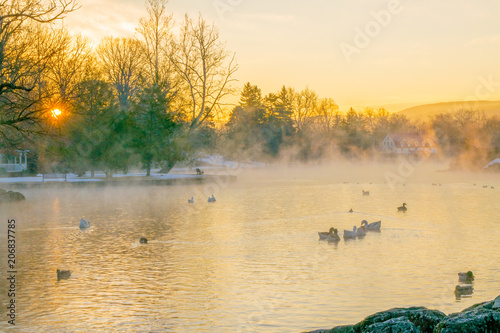 Sunrise on a Winter Lake with Ducks and Geese