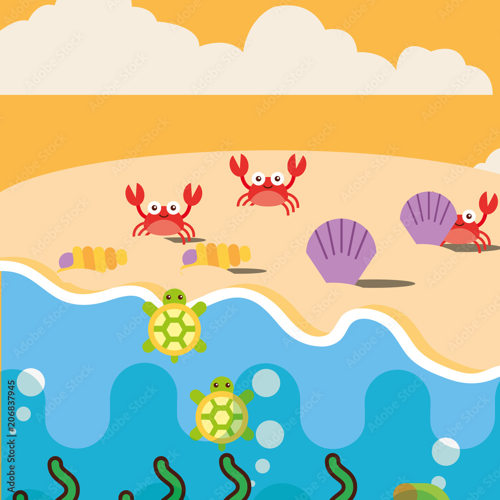 beach crabs clams and turtles ocean sea life vector illustration