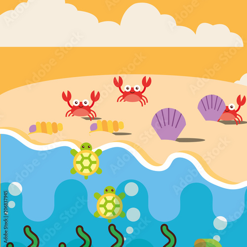 beach crabs clams and turtles ocean sea life vector illustration