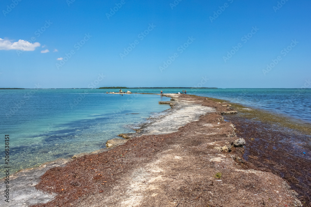 The lagoon landscape of the little visited No Name Key, an island located in the lower Florida Keys in the United States, close to the best known Big Pine Key. No Name Key is famous for the Key Deer.