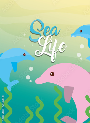 pink and blue dolphins animal under the sea life vector illustration