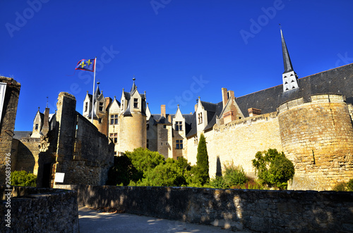 Montreuil-Bellay, French tourist destination, detail of the medieval castle photo