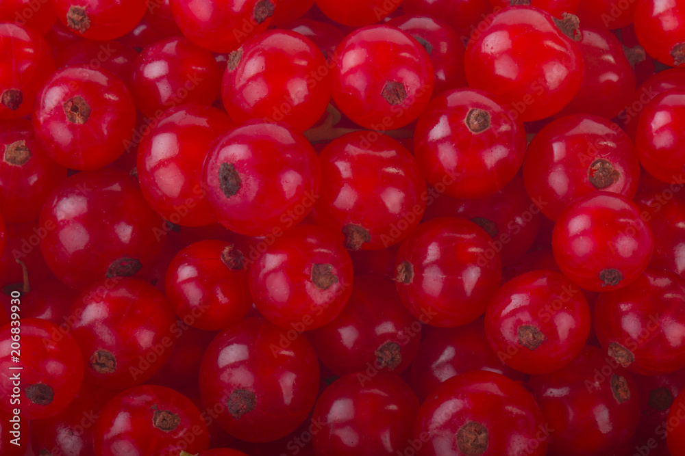 red currants background