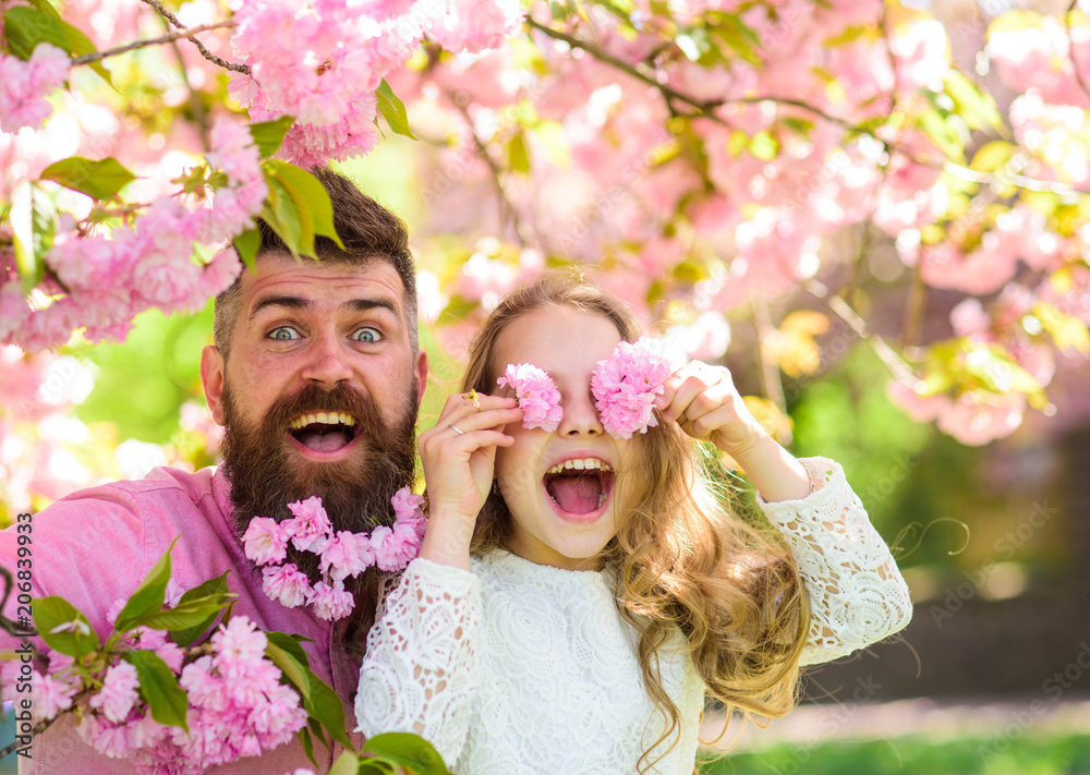 Fototapeta premium Child and man with tender pink flowers in beard. Father and daughter on happy face play with flowers as glasses, sakura background. Girl with dad near sakura flowers on spring day. Family time concept