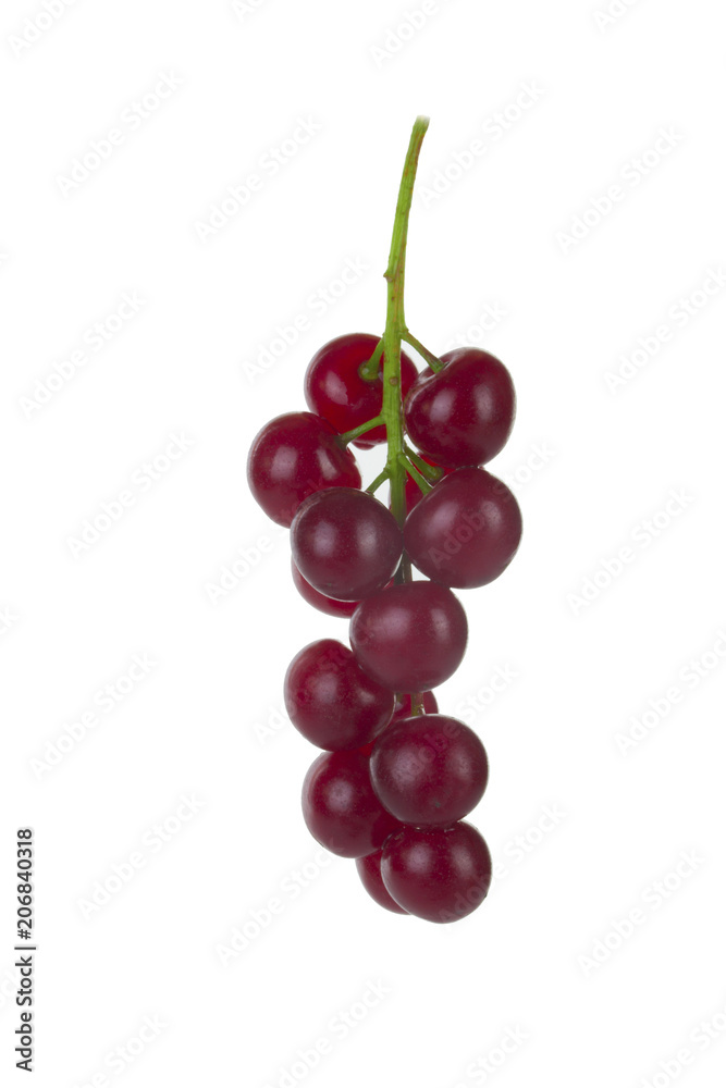 bunch of red bird cherry isolated on white background bunch of red bird cherry isolated on white background