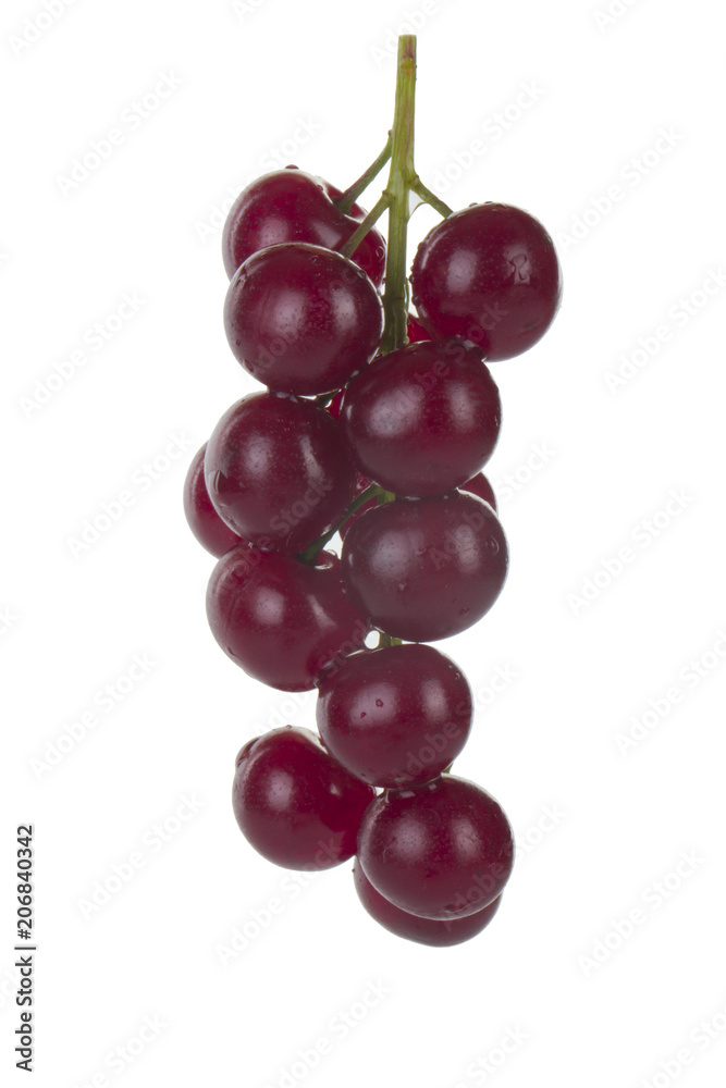 bunch of red bird cherry isolated on white background bunch of red bird cherry isolated on white background