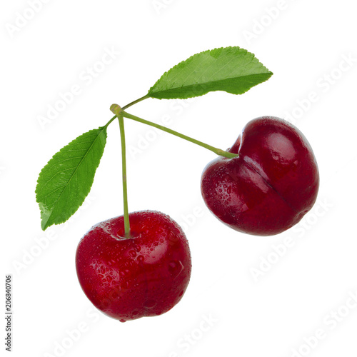 branch of red cherry with leaves isoalted