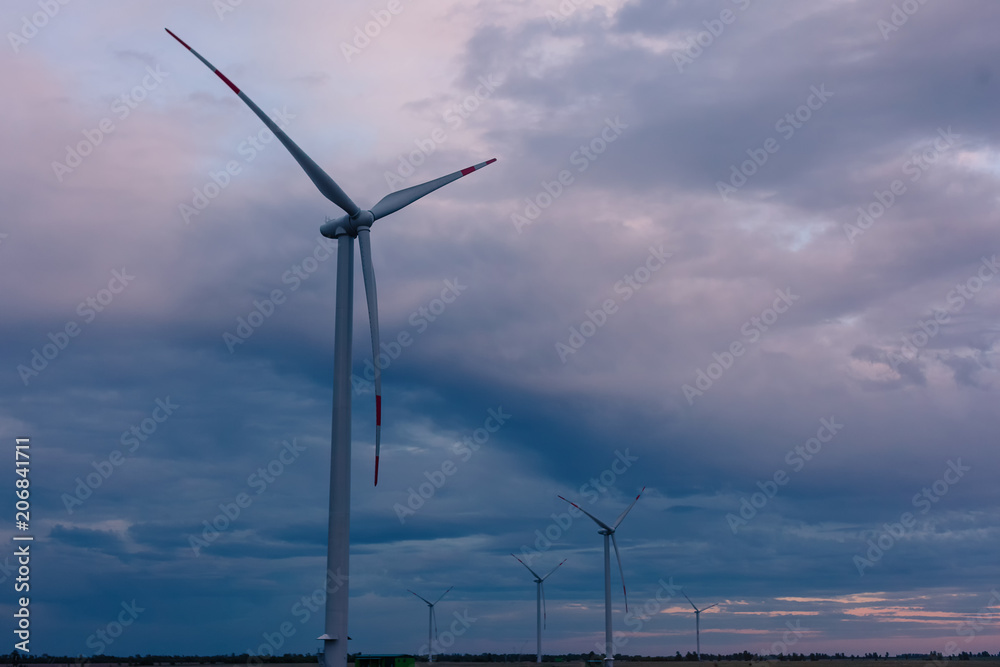 the wind farm in the evening