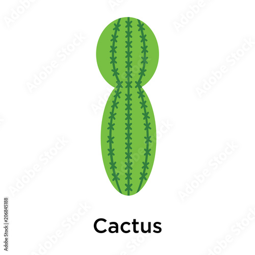 Cactus icon vector sign and symbol isolated on white background