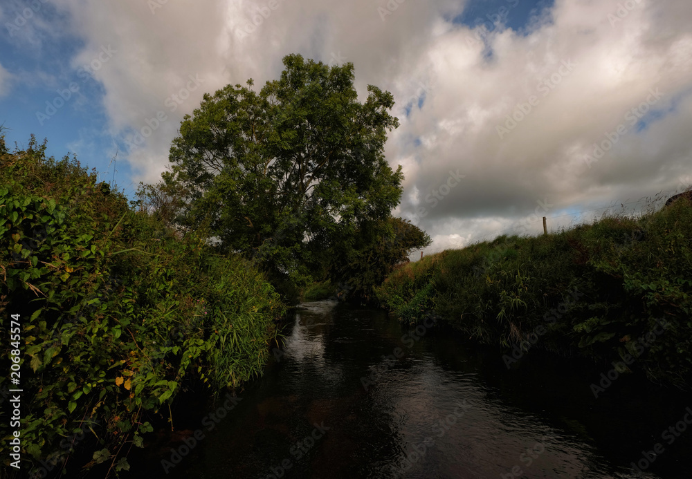 Obraz premium Wild creeks