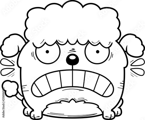 Terrified Little Poodle