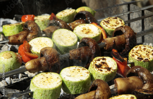 vegetarian picnic, grilled vegetables and mushrooms