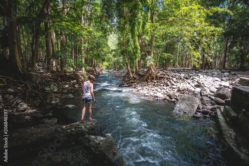 Black River National Park, Mauritius photo