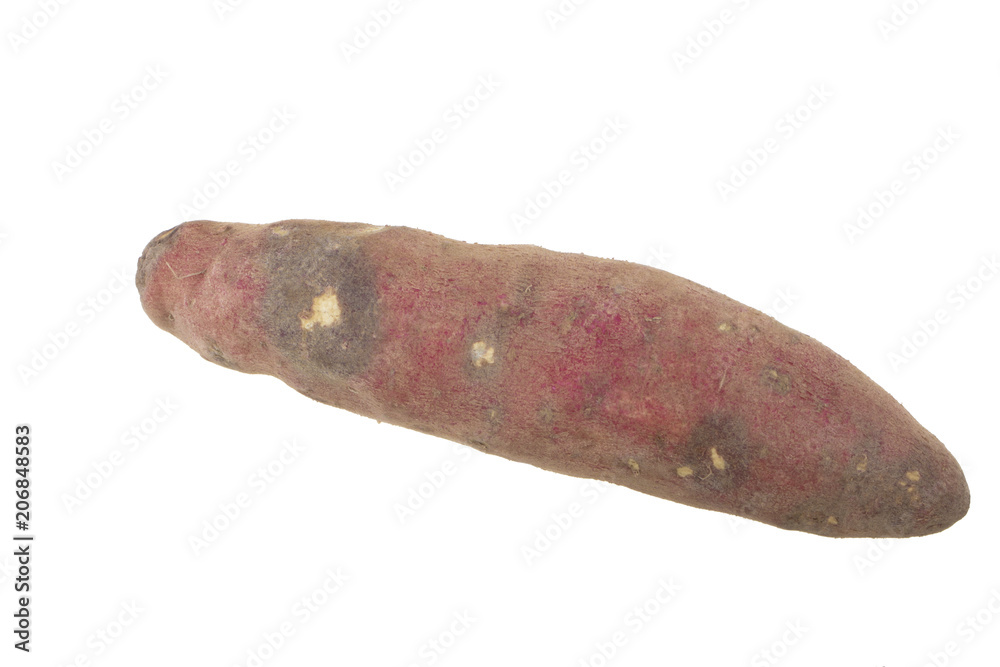 sweet potato isolated on white background sweet potato isolated on white background