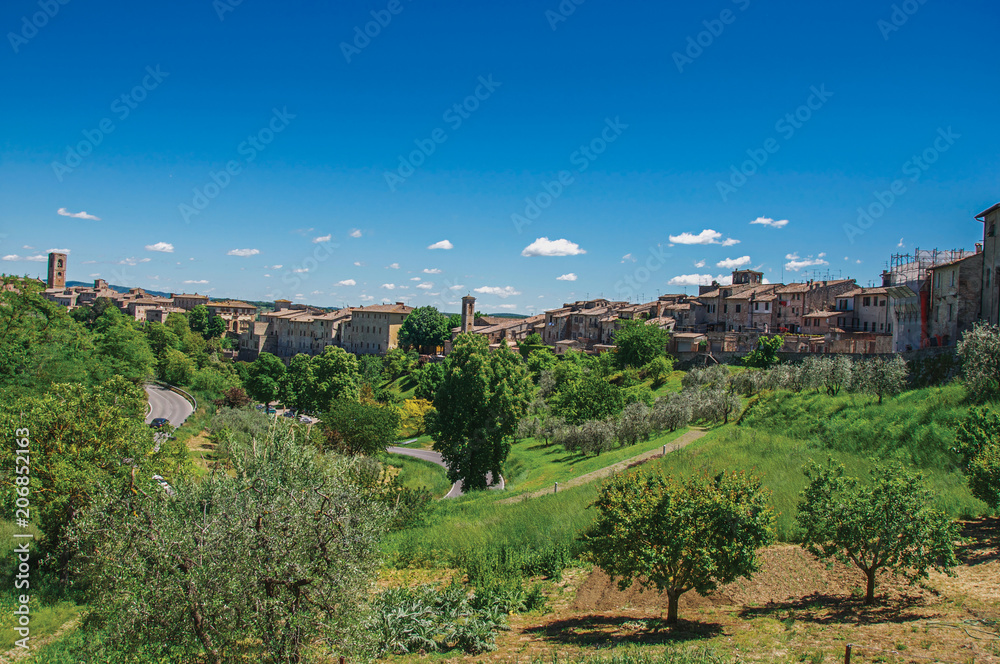 View of Colle di Val d Elsa town with olive trees and vegetation at the front. A graceful village with its historic center preserved and known by its crystal production. Located in the Tuscany region 