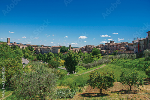 View of Colle di Val d Elsa town with olive trees and vegetation at the front. A graceful village with its historic center preserved and known by its crystal production. Located in the Tuscany region  photo