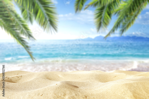 Tropical Beach Background with Palm Leaves, Sand, and Sea – Copy Space for Product or Text"