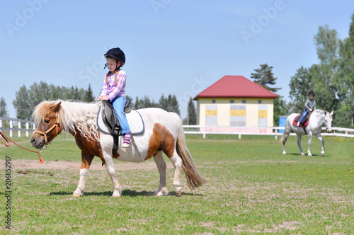 Cute little girl riding a horse pony