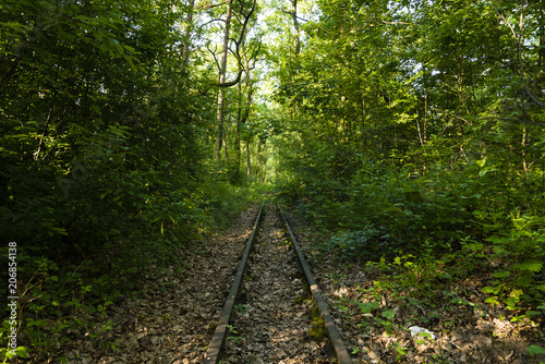 Alte Schienen im Wald  Totes Gleis im Wald  Bahnschienen im Wald  verlassene Bahnanlage im Wald