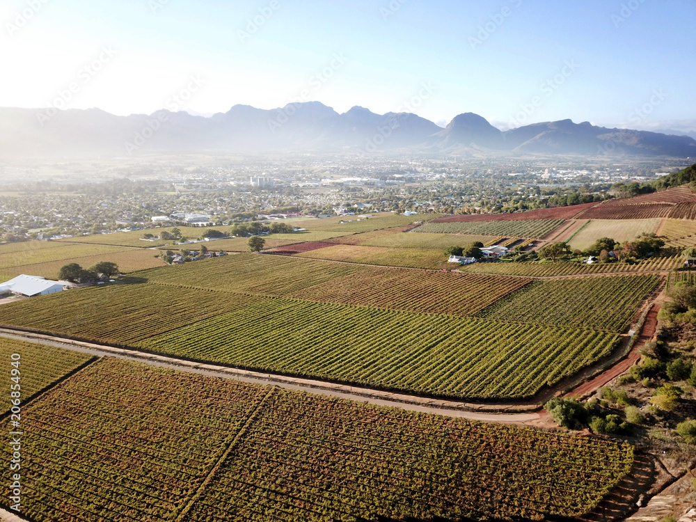 Aerial over vineyards in Paarl, near Cape Town, South Africa