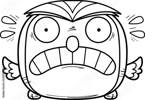 Scared Little Owl