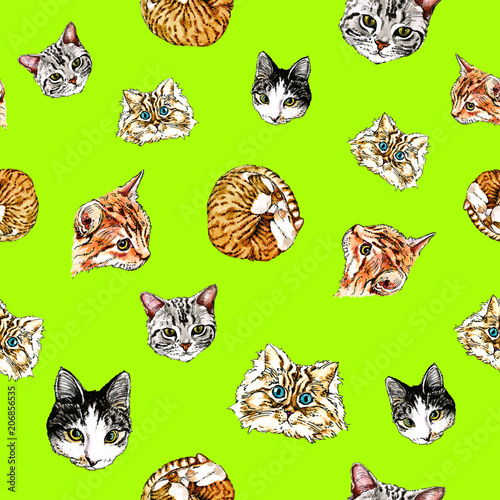 Seamless pattern with cats on a lime green background.