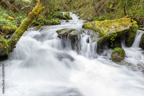 Fototapeta Naklejka Na Ścianę i Meble -  Torrent of water from the Naviego River in the Leitariegos Valley, Asturias, Spain.