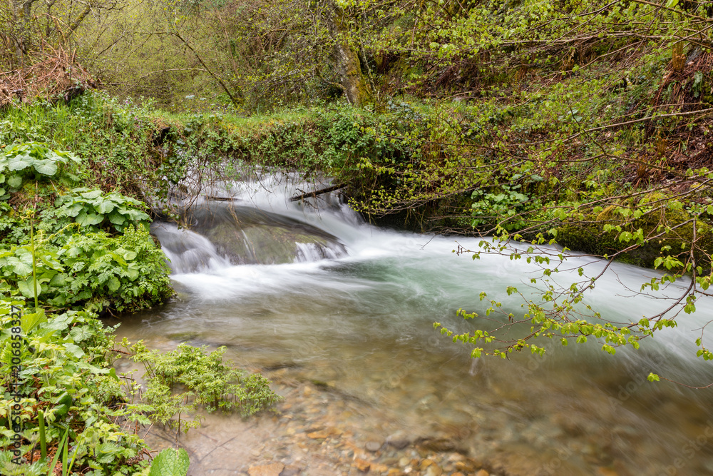 Torrent of water from the Naviego River in the Leitariegos Valley, Asturias, Spain. Torrent of water from the Naviego River in the Leitariegos Valley, Asturias, Spain.
