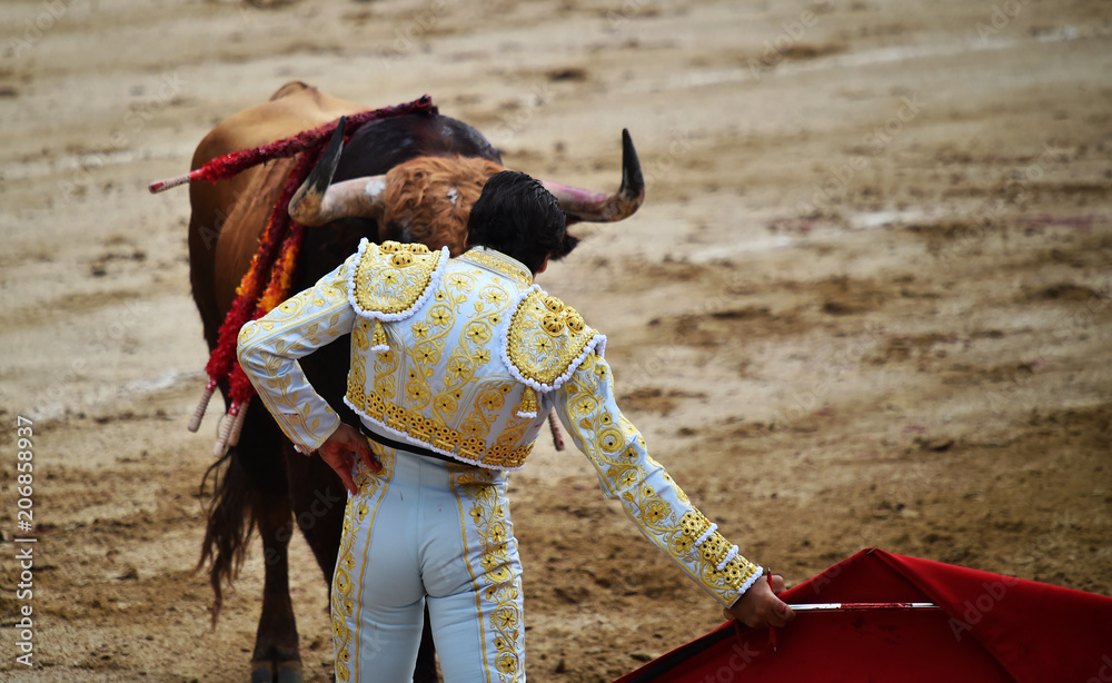 Obraz premium toreo en españa