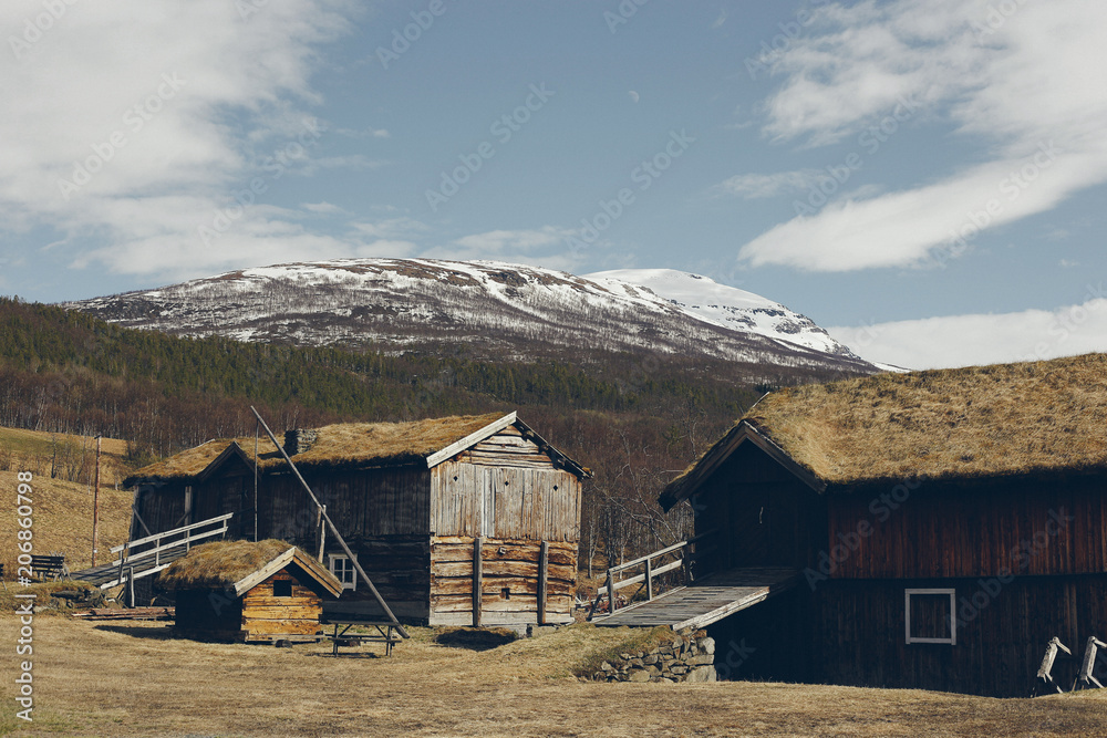 Norwegian landscapes with snow and trees