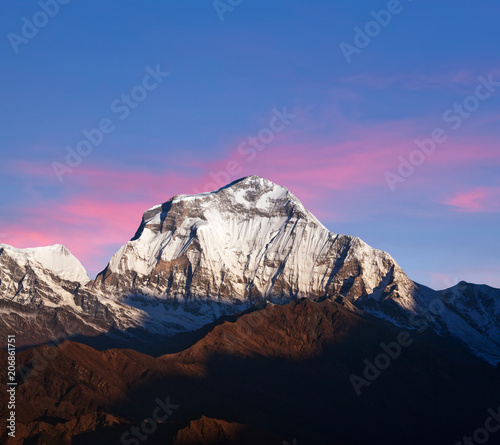 Panorama of mount Dhaulagiri at sunset, view from Poon Hill in Nepal Himalaya